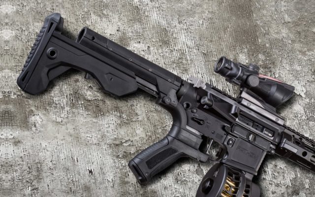 Should voters approve a ban on most semi automatic weapons in private hands?