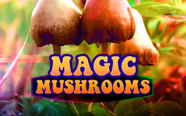 Should states legalize magic mushrooms?