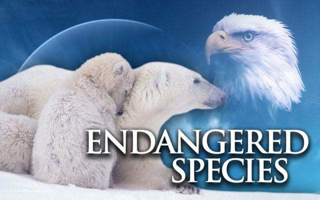 Endangered Species Act will help wildlife and people controlling the occupied land.