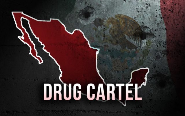 President Trump to label Mexican cartels as foreign terrorists due to the death’s of thousands through drug and human trafficking every year.