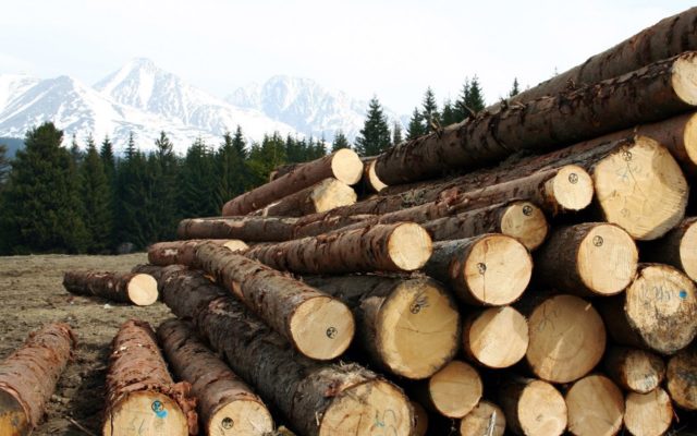Timber companies in the Northwest signed a deal with the devil this week.