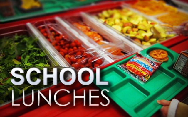 Is feeding kids the number one job of public schools?
