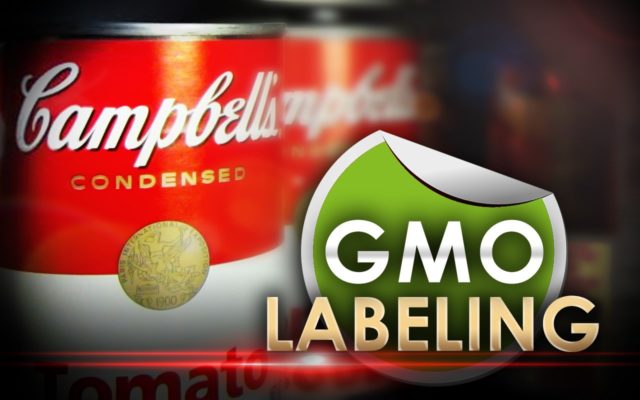 Does marking a food “Non-GMO” make us better off or more healthy?