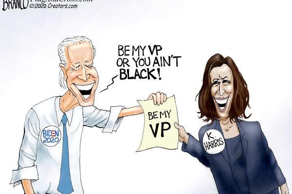 Lars Thoughts – Blithering Biden Hasn’t Picked A VP, He’s Picked A Replacement