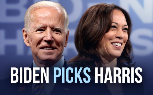 The Democrats had limited options for VP which is why Biden went with Kamala Harris