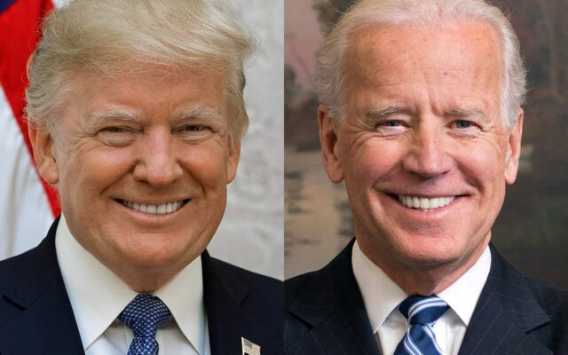 Steve Moore – Would a Joe Biden win pull Americans off of unemployment or make it worse?