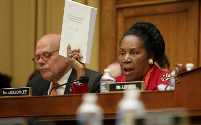 How is Sheila Jackson-Lee pushing to trample your 2nd amendment rights?
