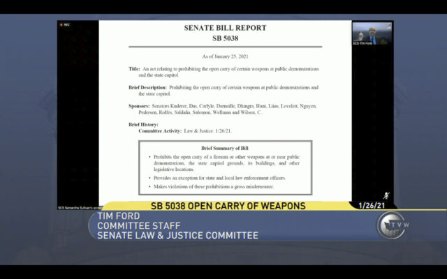 Is The New Anti-Gun Bill Under Debate In Washington Unconstitutional?
