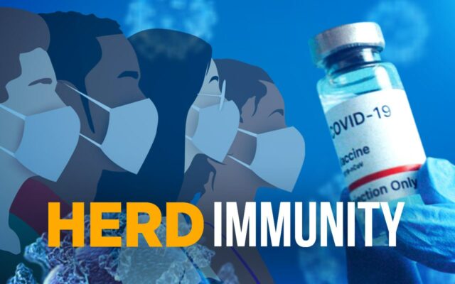 Is natural covid immunity unreliable like the CDC claims?