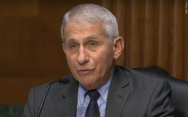 Where has Dr. Anthony Fauci gone?