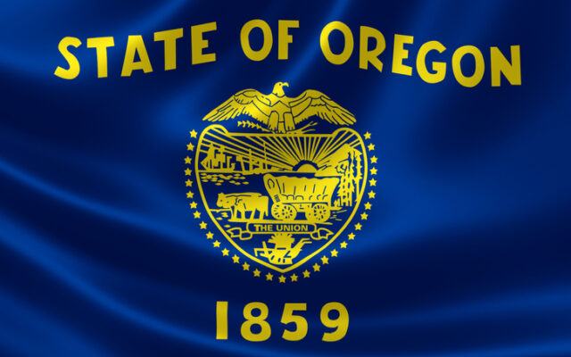 Oregon Governors Race: GOP Primary Candidates