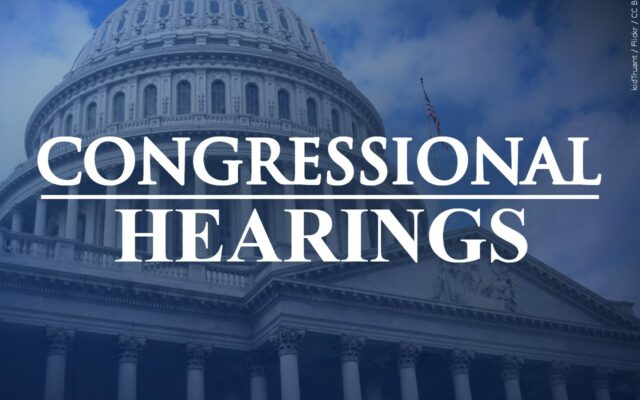 Congressional Hearing on Clean Elections: Evidence of voter suppression?